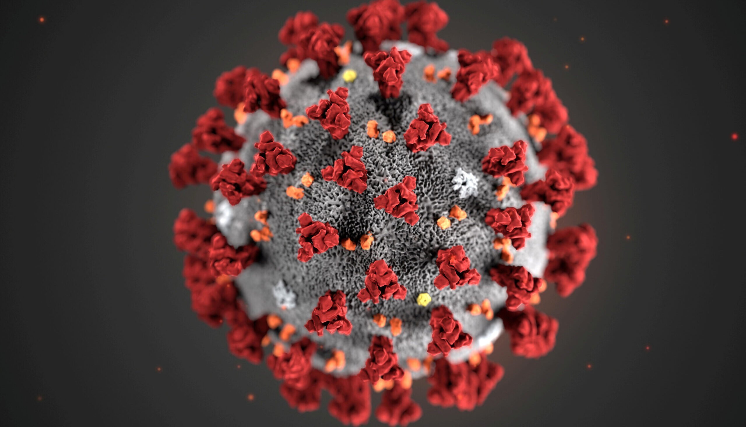 O țară din Europa a recunoscut că a pierdut controlul asupra pandemiei de coronavirus