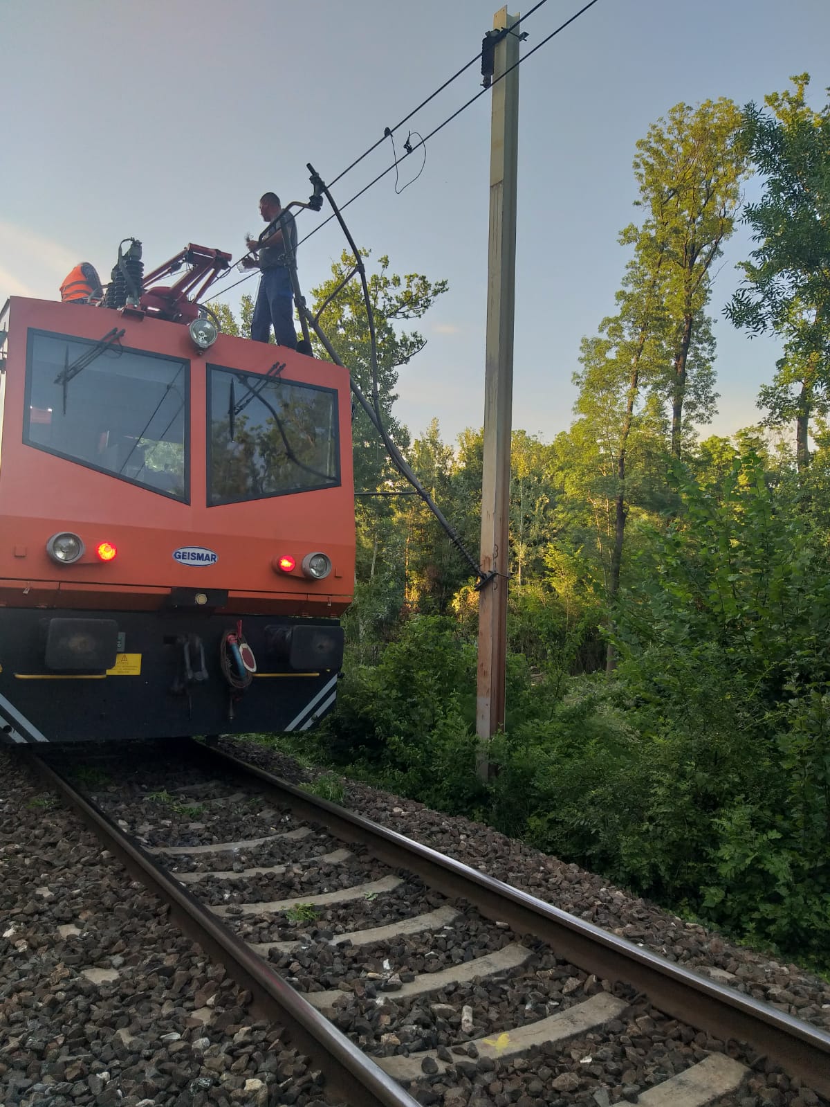 UPDATE CFR: Copaci prăbușiți pe relația Crivina-Brazi/ Traficul feroviar a fost reluat pe firul II