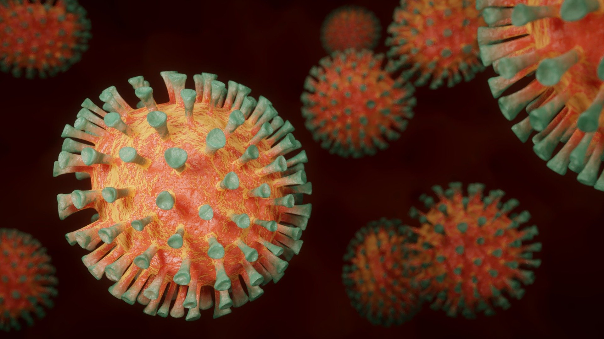 SARS-CoV-2 este prognozat să se transforme într-un virus sezonier, care apare în fiecare an