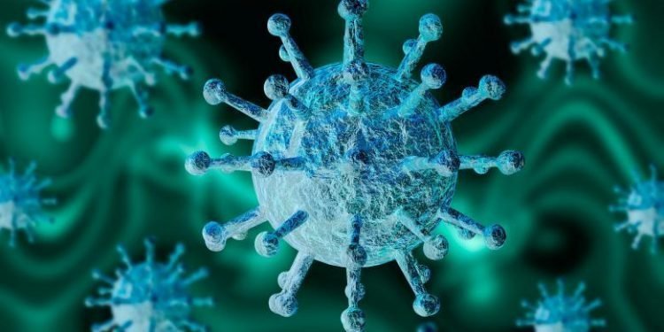 coronavirus bbc epidemie pandemie