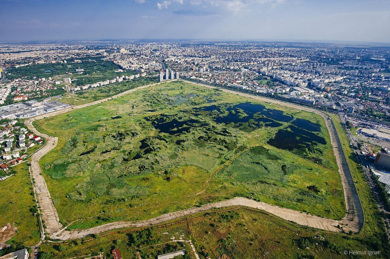 București: Concurs internațional de soluții pentru Lacul Morii și Parcul Natural Văcărești