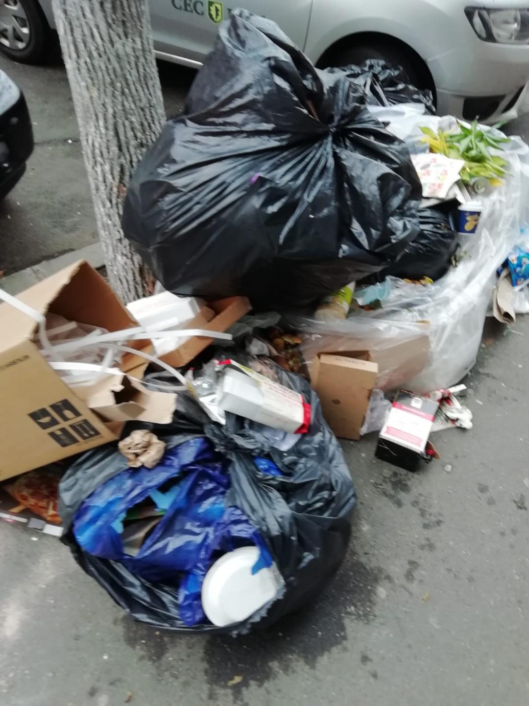 Romprest amenință că nu va mai ridica gunoiul din Sectorul 1 din 11 februarie
