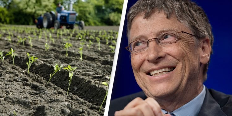 Terenurile lui Bill Gates
