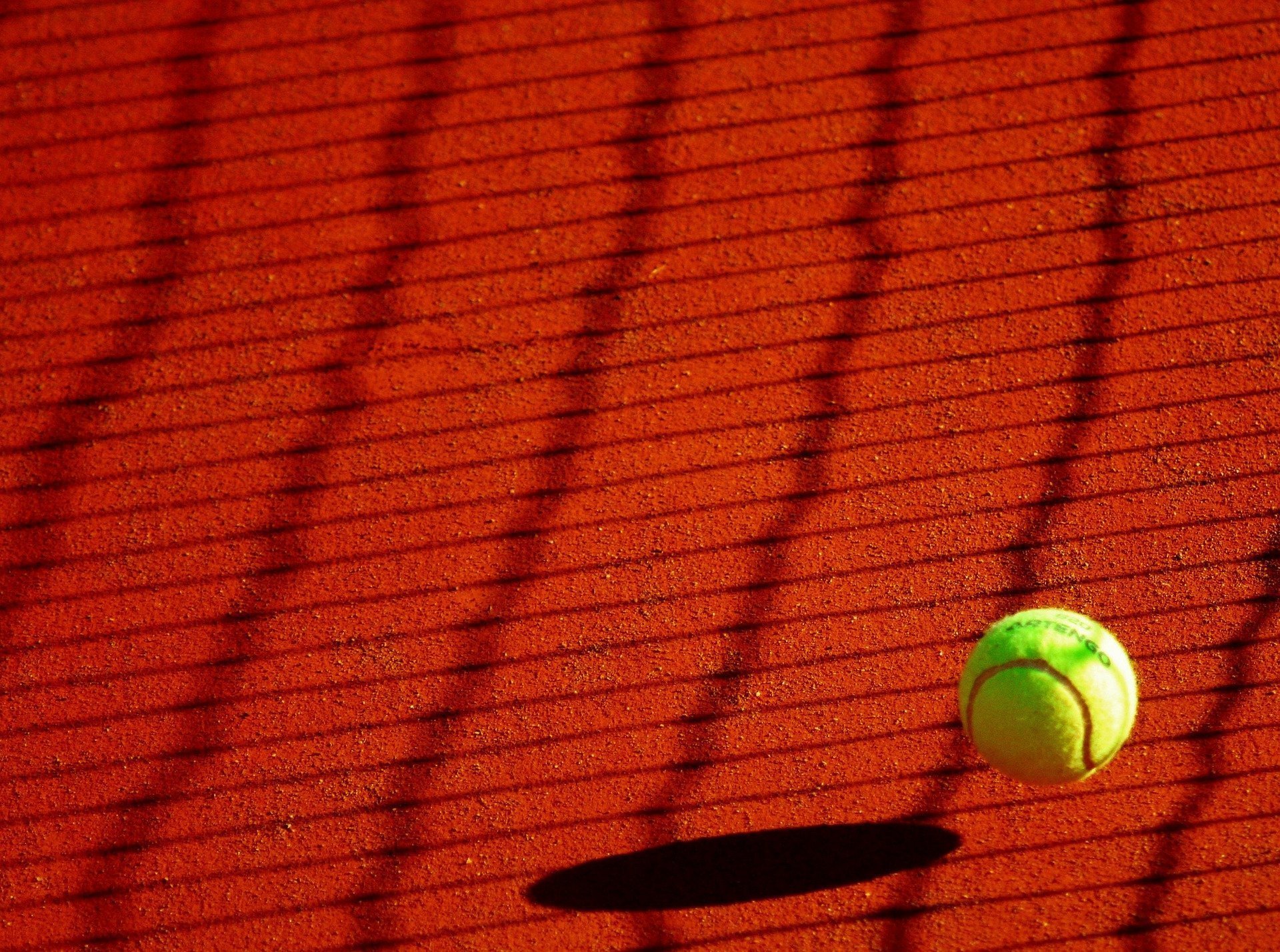 Anchetă la Wimbledon: Suspiciuni de pariuri suspecte
