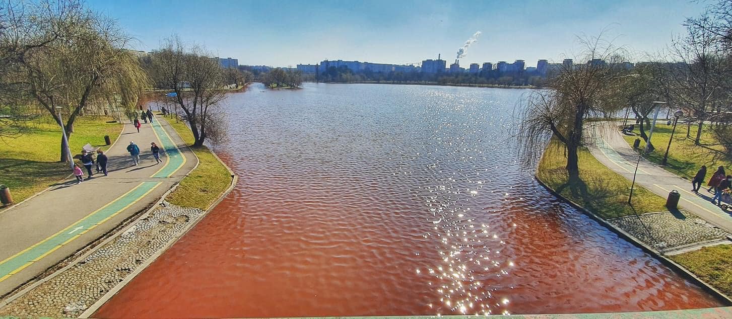 Apa lacului IOR e roșie din cauza unei alge