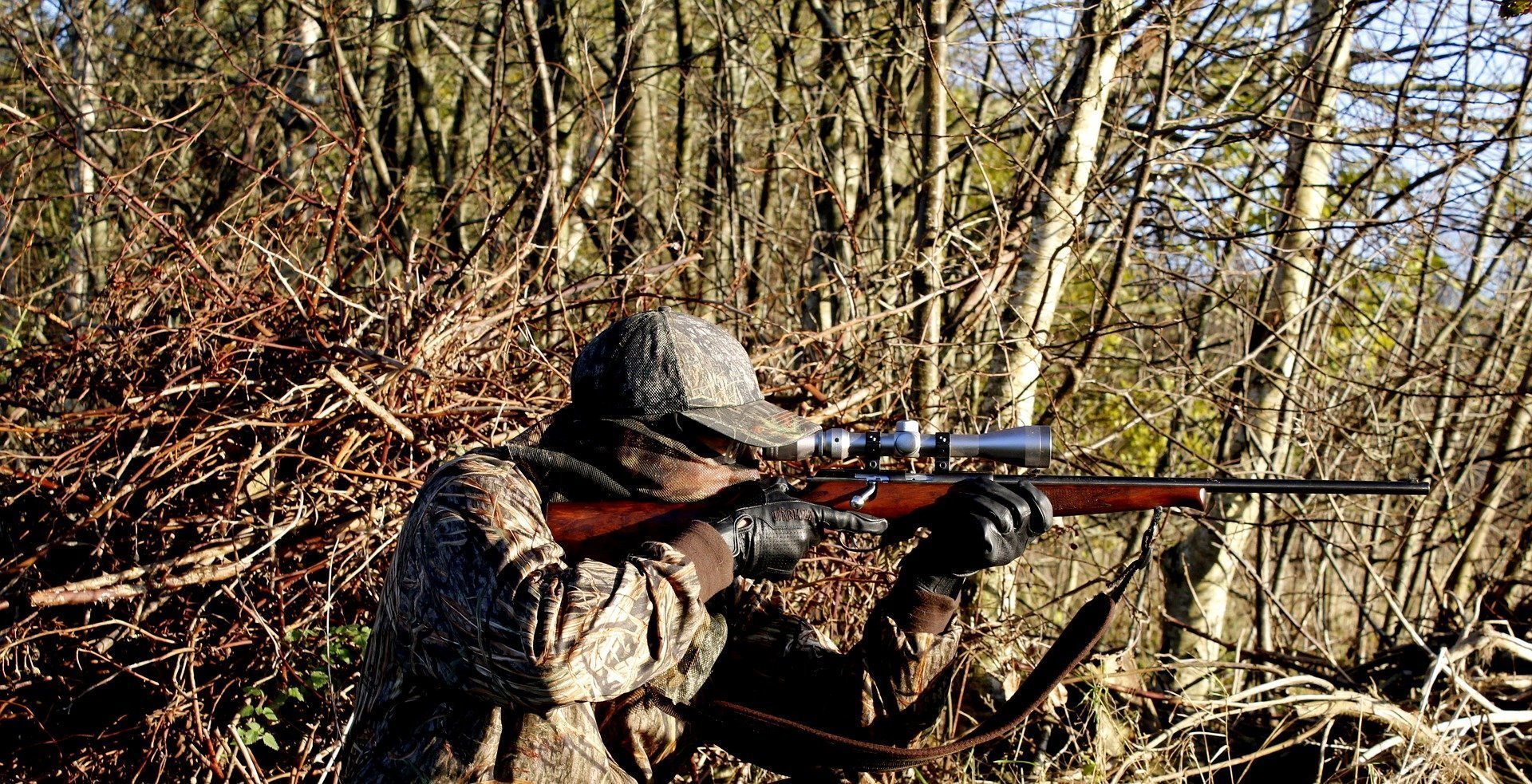 Noua lege a vânătorii, criticată de Societatea Ornitologică Română