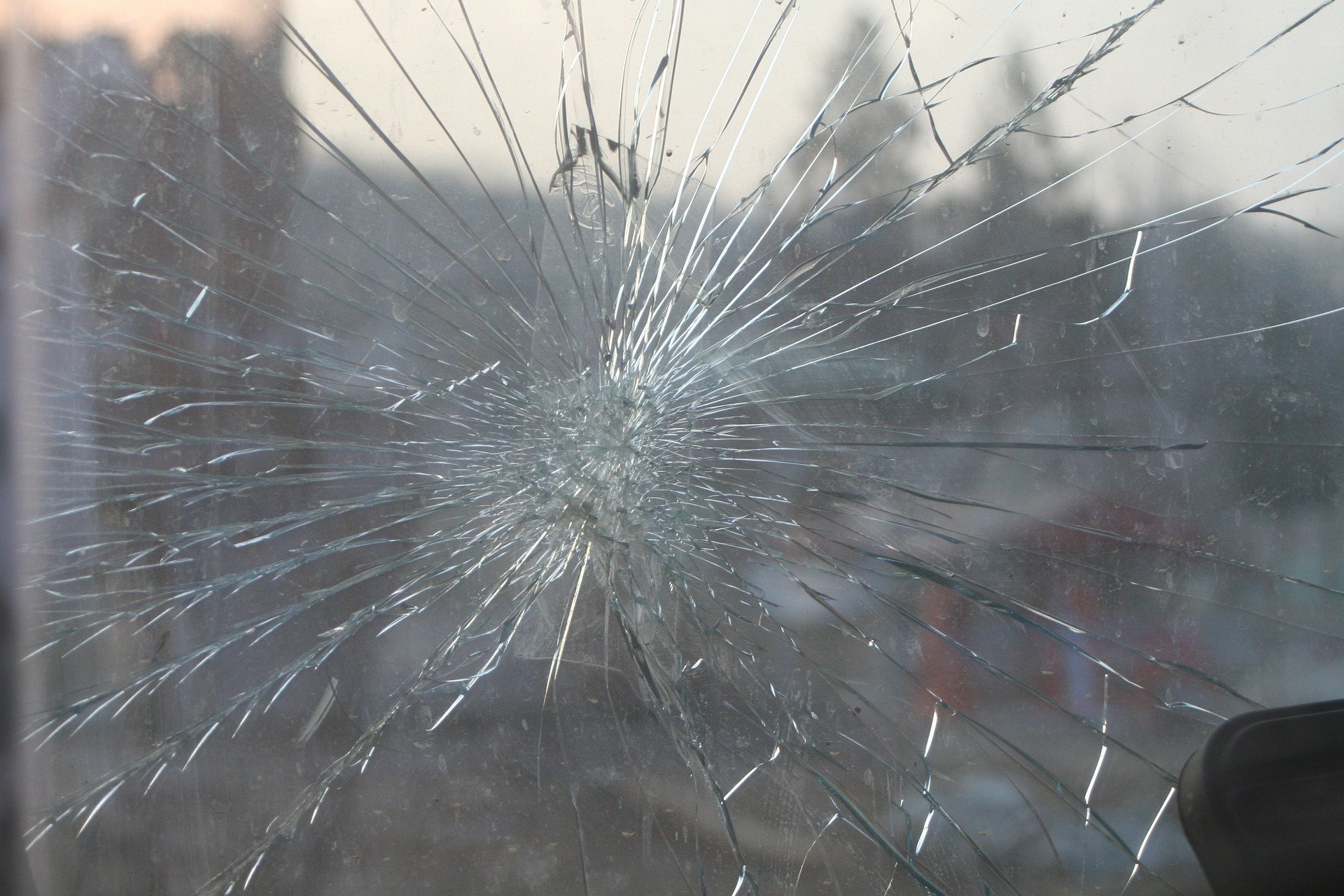 Incident în Arad: Comisari de mediu atacați cu o sticlă