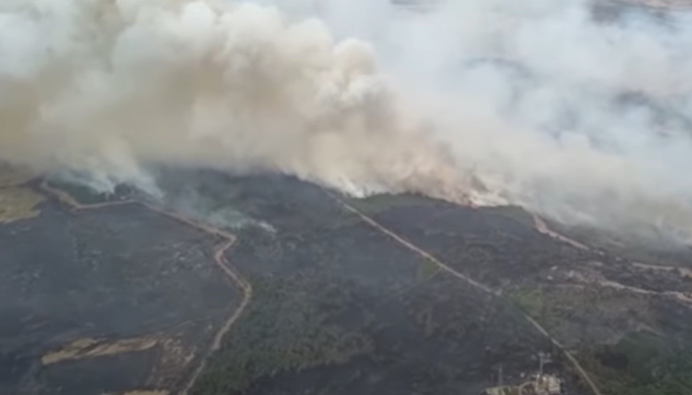Incendii în Sardinia: Italia cere ajutorul țărilor vecine (Video)