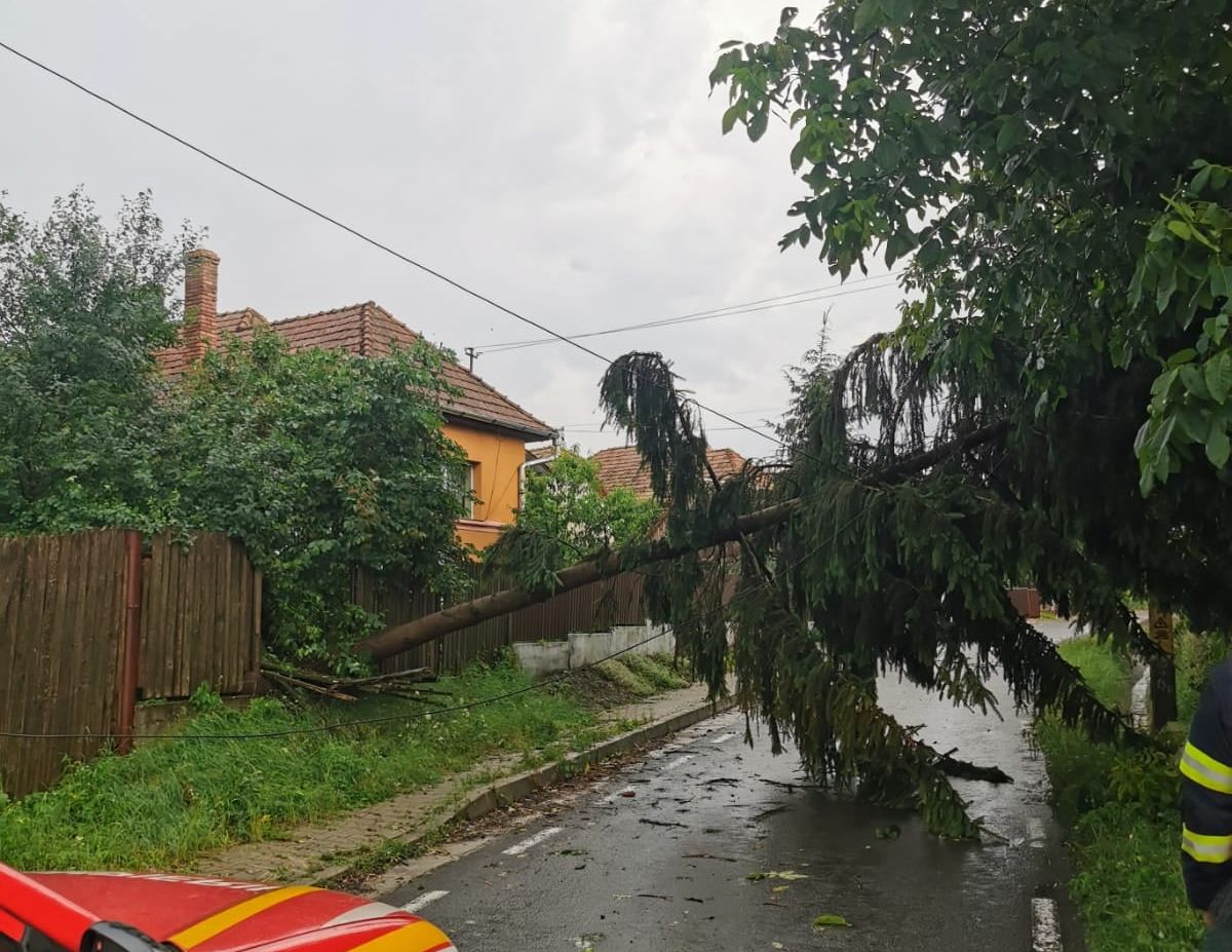 ISU Bucureşti-Ilfov: Peste 20 de intervenţii în cazuri de copaci căzuţi şi elemente de construcţii desprinse de vânt