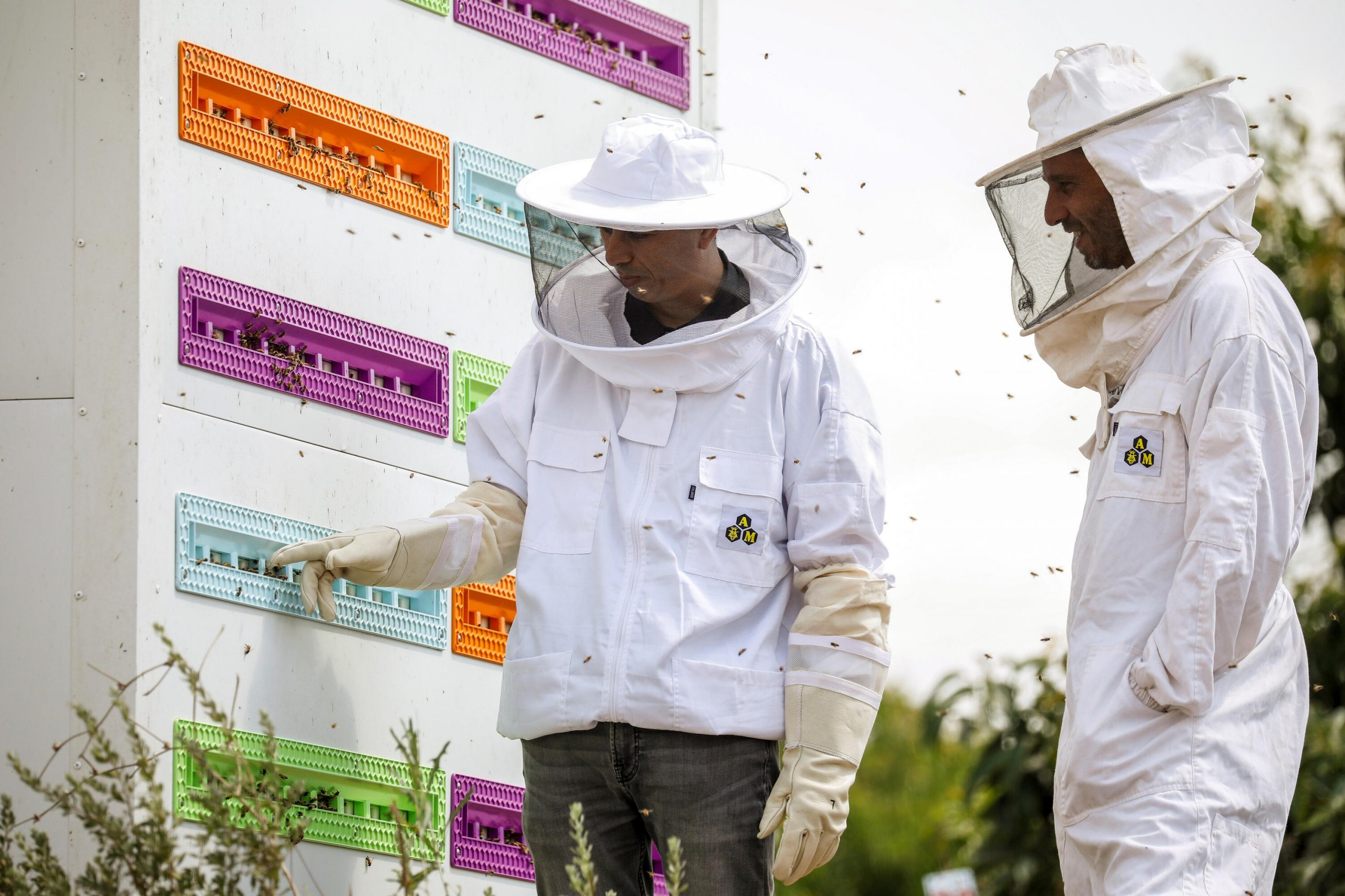 Progres: Un stup robotizat ajută albinele să îşi găsească refugiul din calea pericolelor