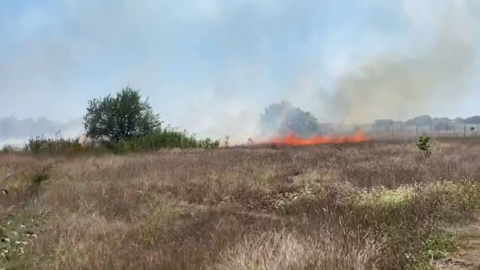 Într-o singură zi în România au avut loc 103 incendii de vegetație