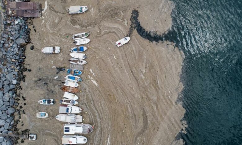 Dezastru ecologic? „Mucilagiul marin” a invadat coastele Turciei