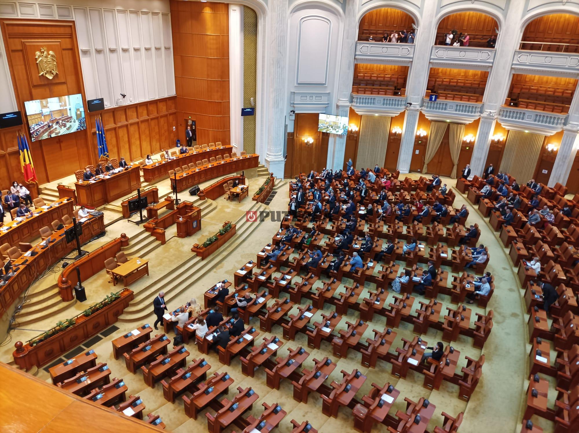 Parlament plen vot