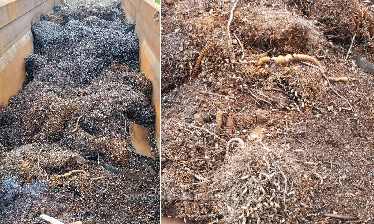 Cantitate impresionantă de deșeuri ilegale oprită de Poliția de Frontieră Giurgiu, la intrarea în țară, în primele nouă luni ale anului