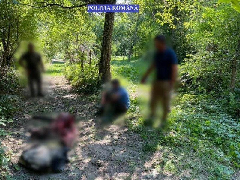 Un urs a fost ucis ilegal în județul Dâmbovița. A fost deschis dosar penal