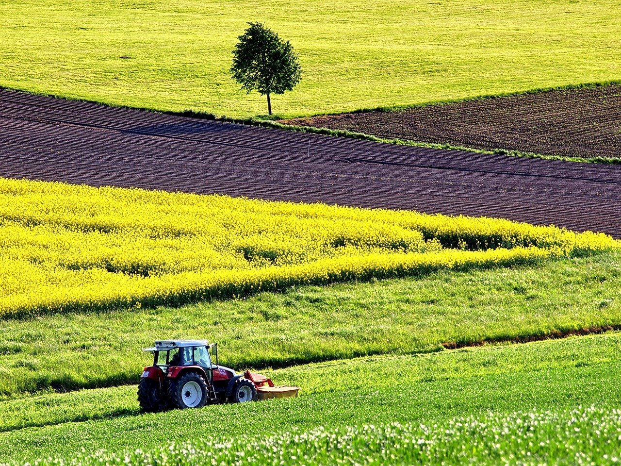 Arion, Pro Agro: Vom asista la falimente în agricultura românească şi la preluări abuzive de ferme, în 2-3 ani