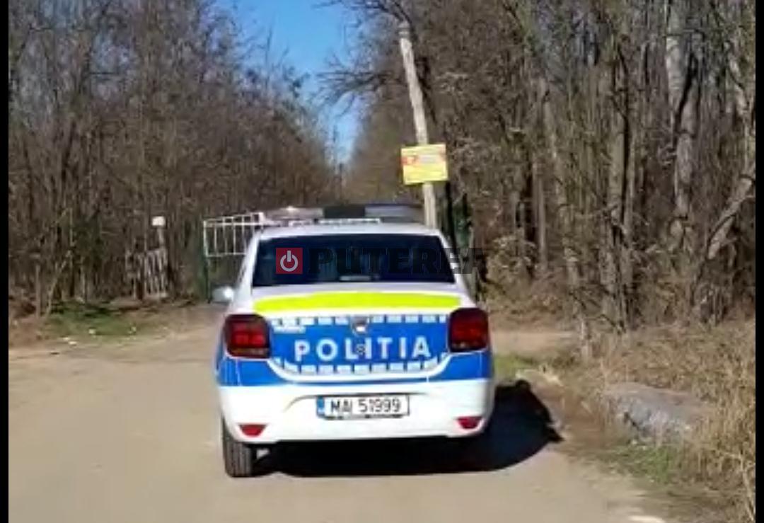 EXCLUSIV. Poliția Română, paznicul de vânătoare al directorilor din Romsilva