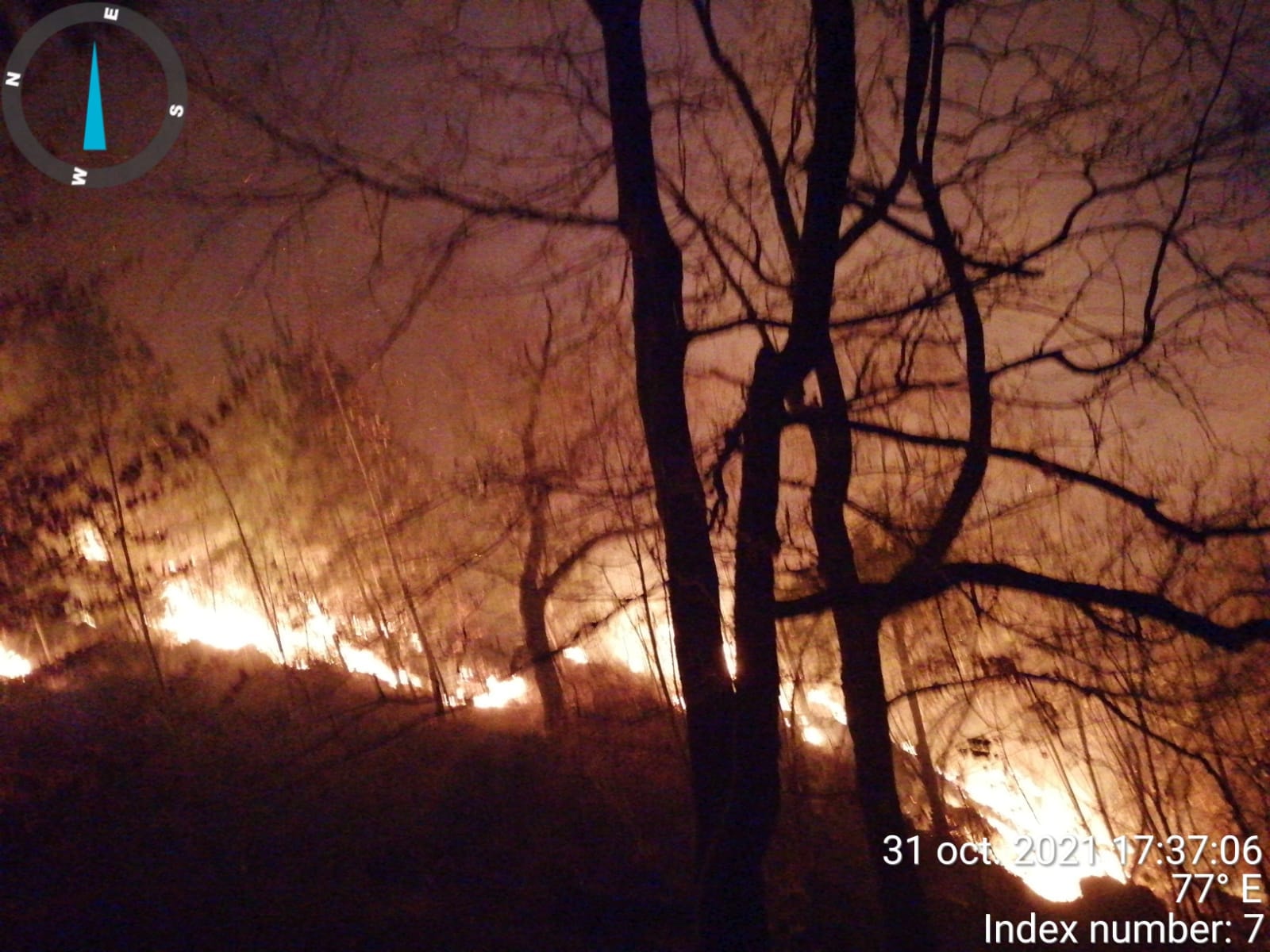 Pădurea de la Oituz arde de cinci zile. Incendiul s-a extins pe 28 de hectare