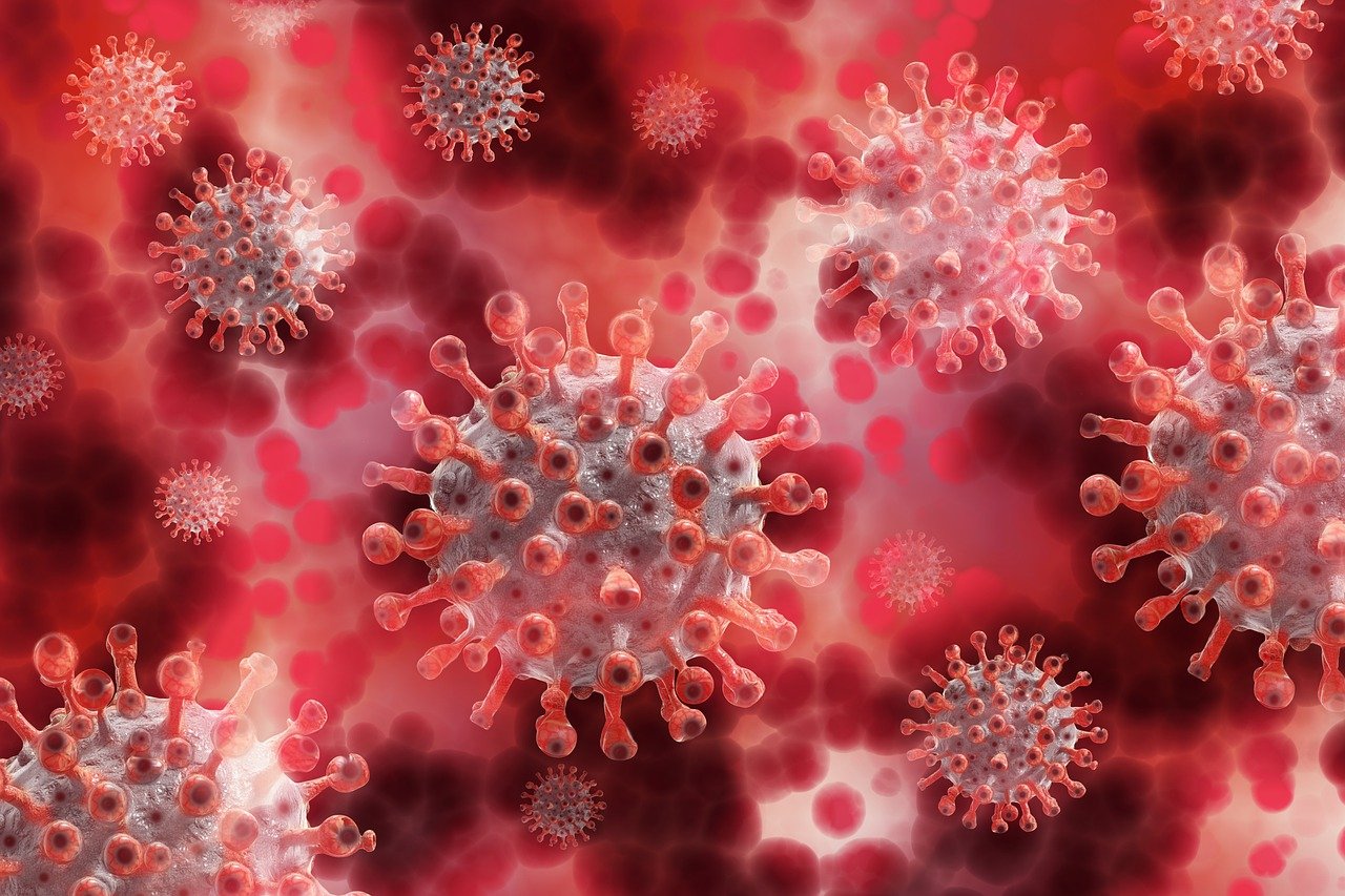 Bilanț coronavirus:  8.461 cazuri de persoane pozitive cu SARS-COV-2, înregistrate în ultimele 24 de ore
