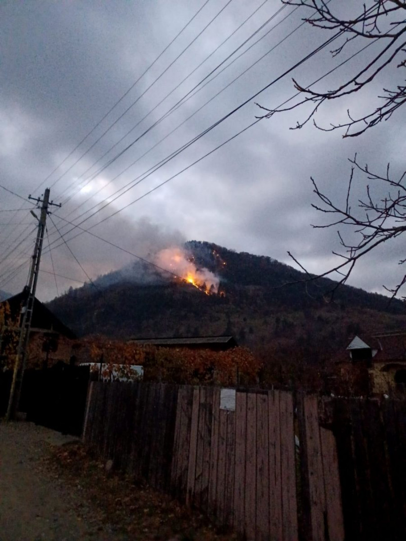 O pădure din Oituz arde de 14 ore: În zonă se află muniție rămasă neexplodată din Primul Război Mondial