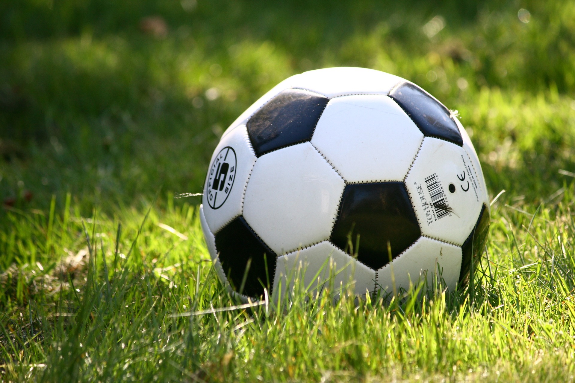 Sancțiuni dure pentru jucătorii acuzați că au trucat un meci de fotbal din România