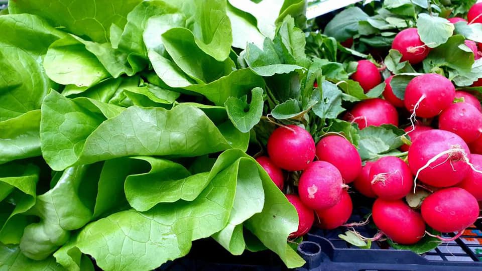 Ajutoare pentru producători în 2022: Tomata, în primăvară (3.000 euro) și legume în spații protejate – toamnă (1.000 euro)