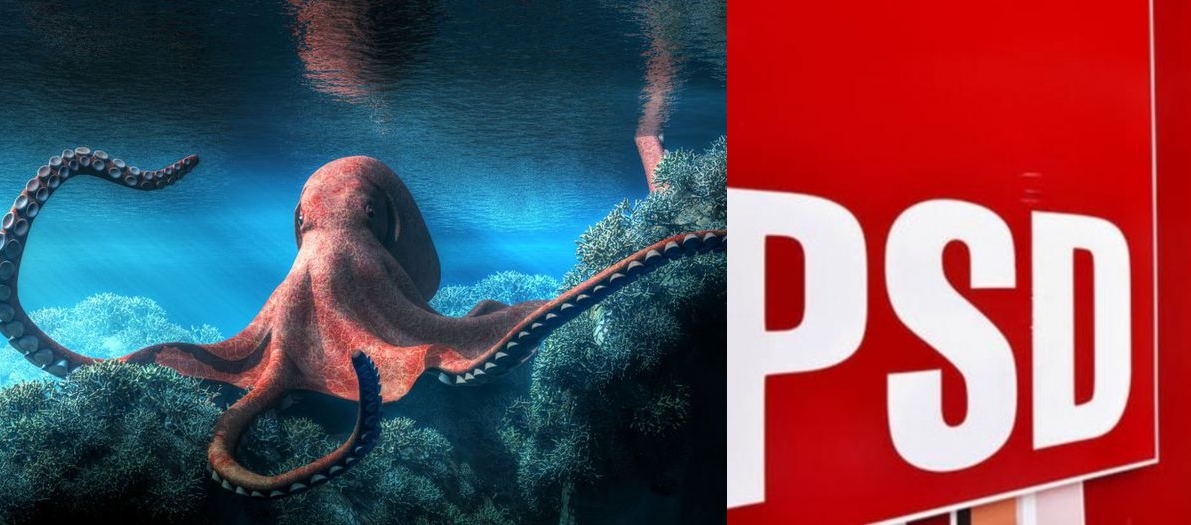 Caracatița roșie își întinde tentaculele peste funcțiile publice! ”Colecția” de sinecuri PSD
