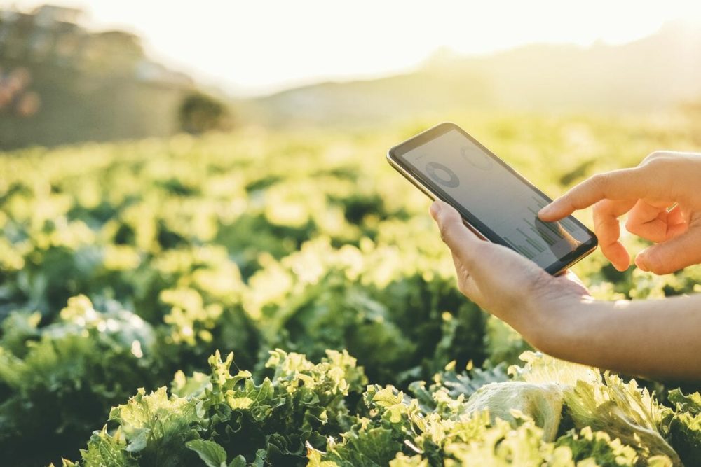 Tehnologie agricolă: Se lansează o nouă soluție hardware, destinată fermierilor