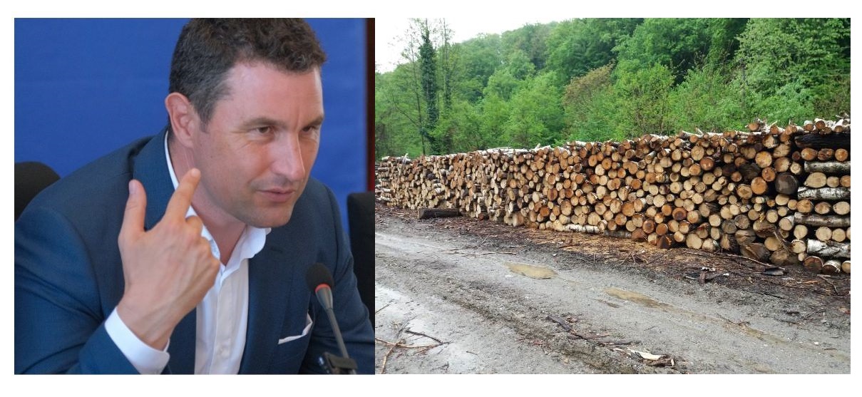 EXCLUSIV. Barna Tanczos a pus pe butuci industria lemnului și va trimite în șomaj 50.000 de oameni
