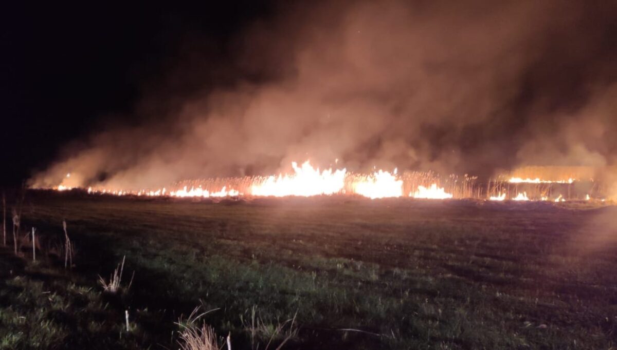 Incendiu întins pe aproape trei hectare de vegetație, în Râmnicu Vâlcea. Focul a fost pus intenționat