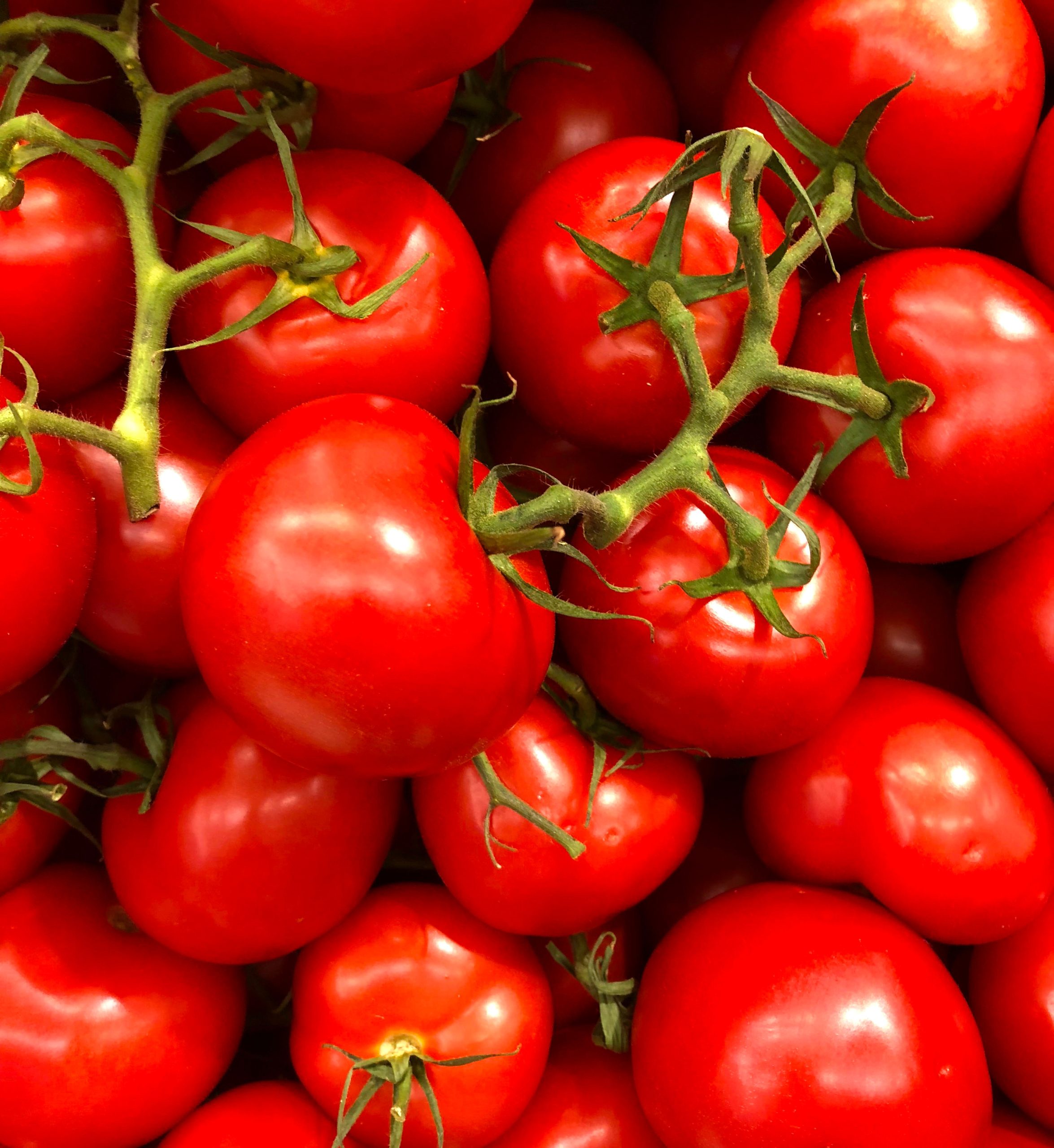 Cum au reușit să piardă ajutorul din programul Tomata mai mulți legumicultori din Olt
