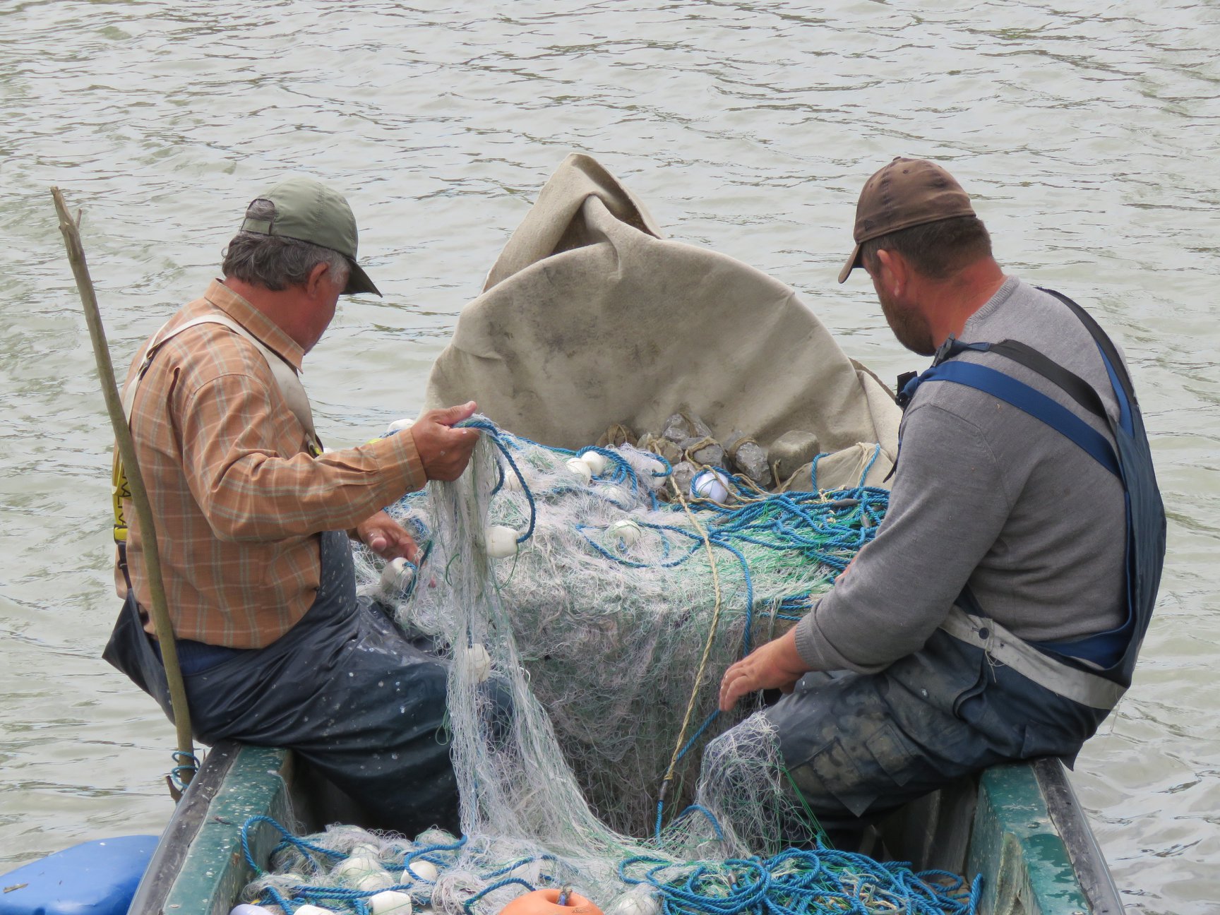 De ce riscă să-și piardă permisele pescarii comerciali autorizaţi din Delta Dunării