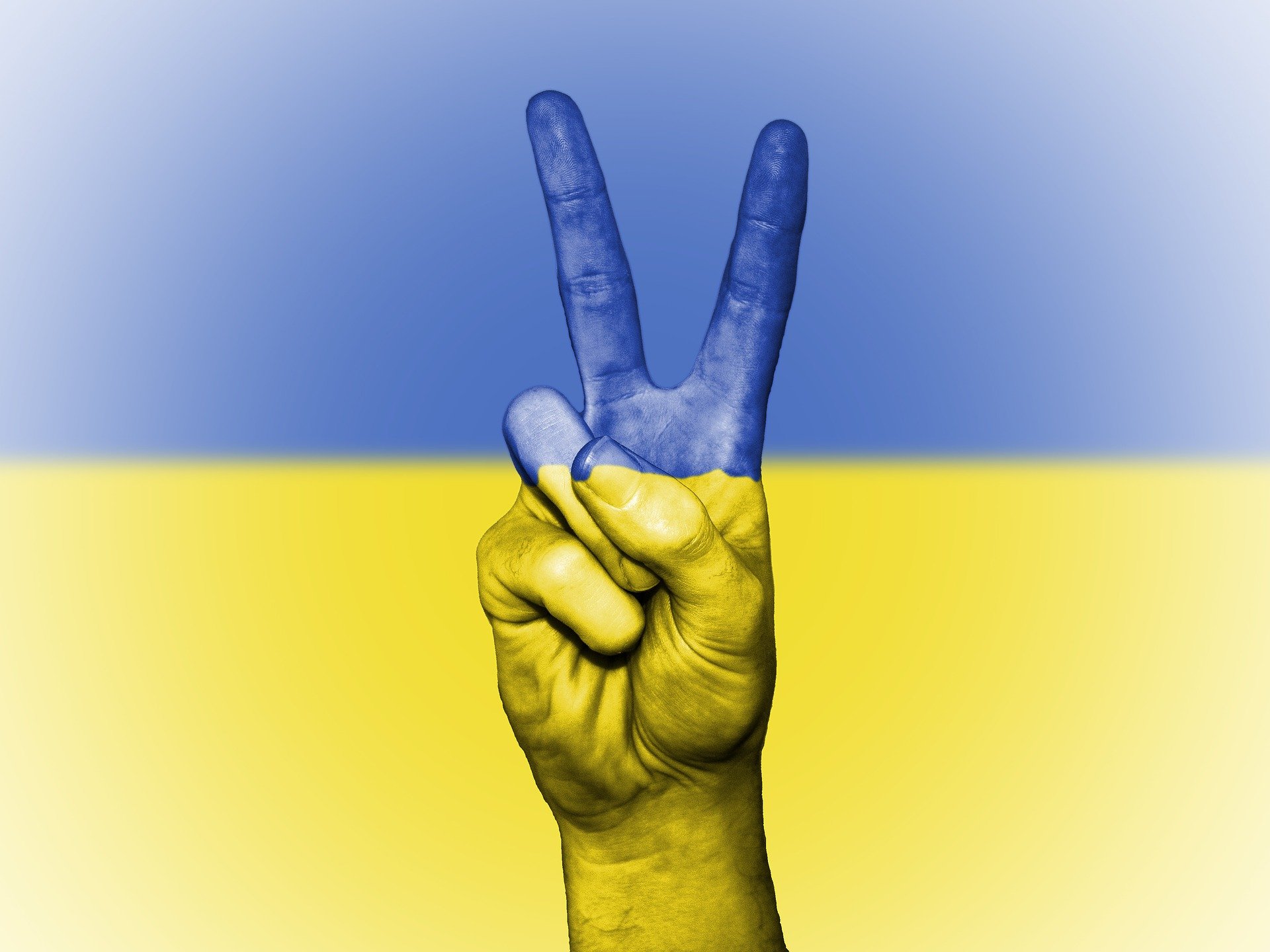 Ucraina e dispusă să poarte discuții cu Rusia, inclusiv în privința  statului neutru
