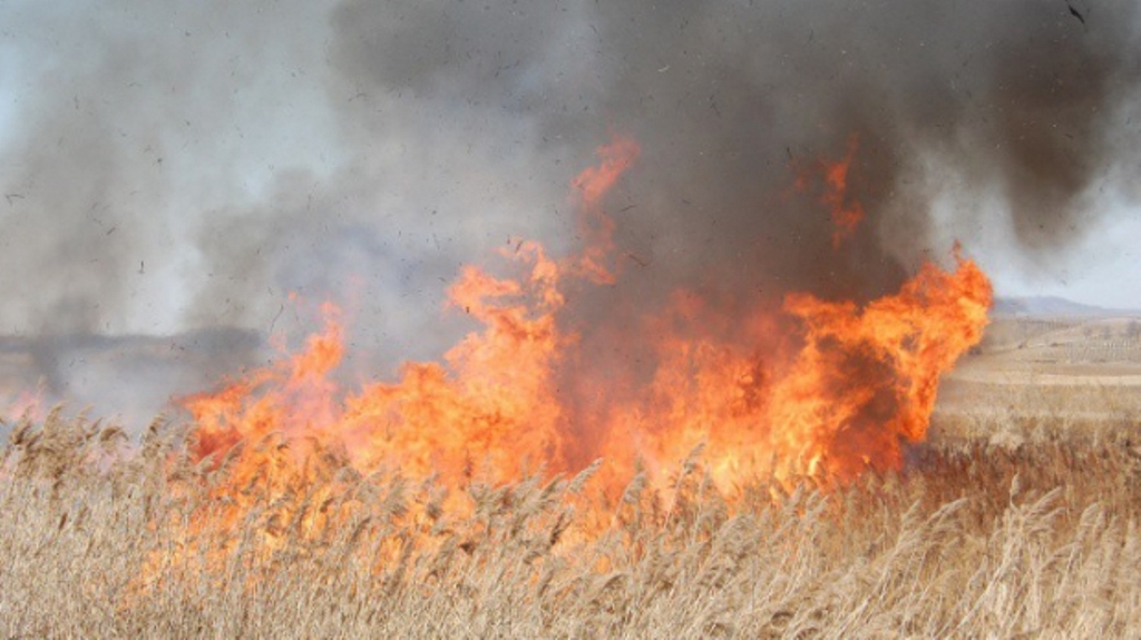 IGSU: Pompierii români continuă misiunea de stingere a incendiului din sud-vestul Franţei
