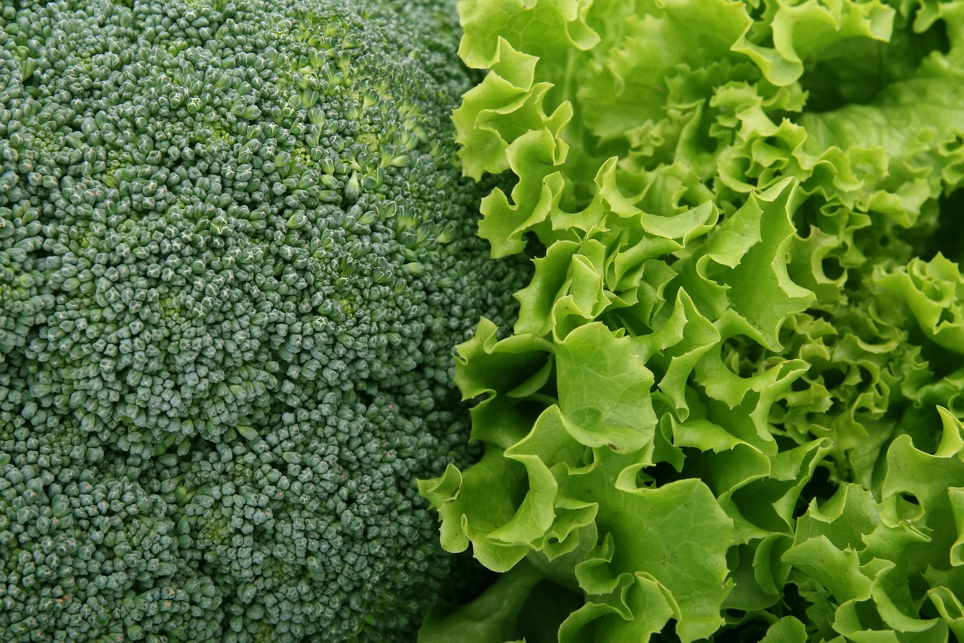 Broccoli, varză… o soluție naturală contra SARS-COV-2!
