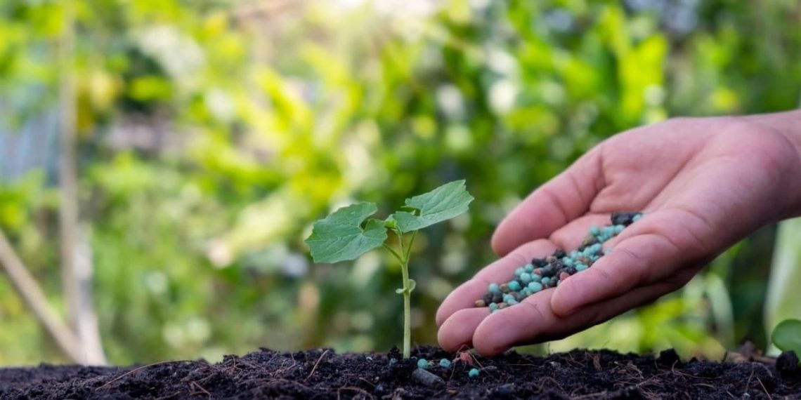 Fermierii nu vor avea restricții la folosirea produselor de protecție a plantelor, anunță MADR