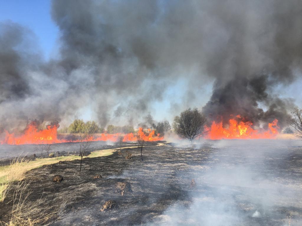 MApN: Incendiu de vegetaţie în Poligonul Babadag, în urma exerciţiilor militarilor francezi; 400 de hectare afectate