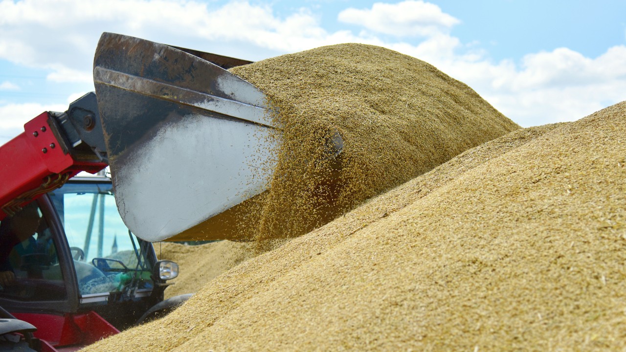 Ucraina a pierdut 15% din capacitățile de depozitare a cerealelor, spun americanii