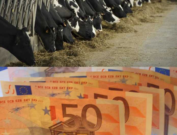 InvestEU: 100 de milioane de euro în noi împrumuturi de microfinanţare care vizează micii antreprenori şi fermierii din România