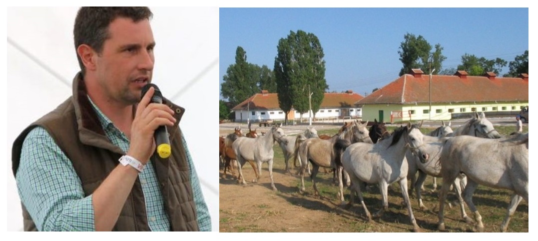 Barna Tanczos vrea ca toate hergheliile din România să treacă sub controlul UDMR