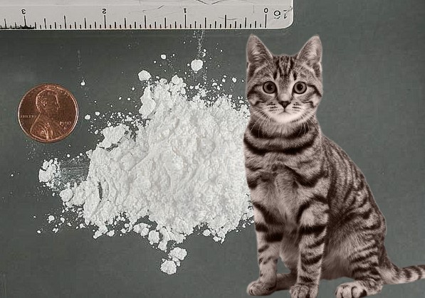 Miau Miau – drog periculos aflat și în România. Ce este și cum acționează