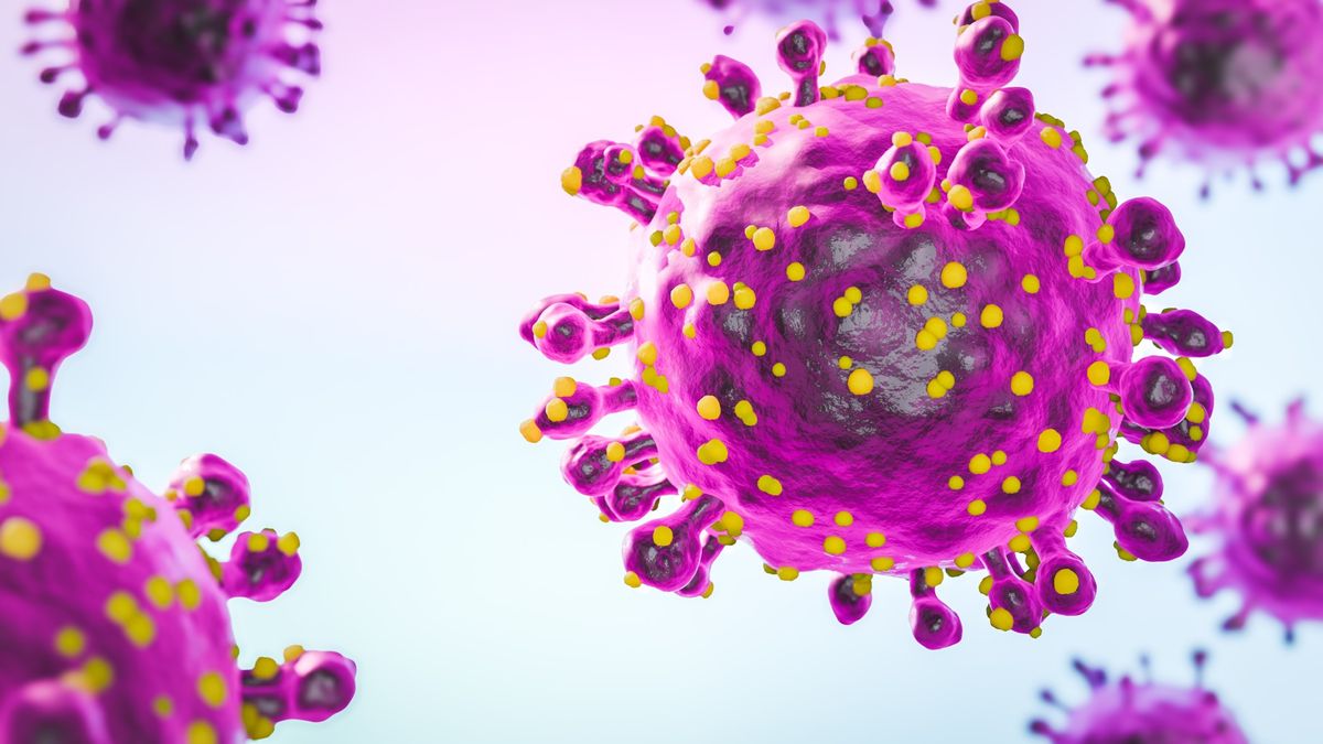 New Virus Alarms Doctors