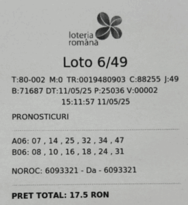 bilet castigator 6 din 49
