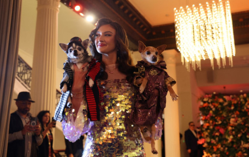 Diferite rase de câini au participat la Pet Gala 2025. Cum au fost îmbrăcate starurile din lumea canină
