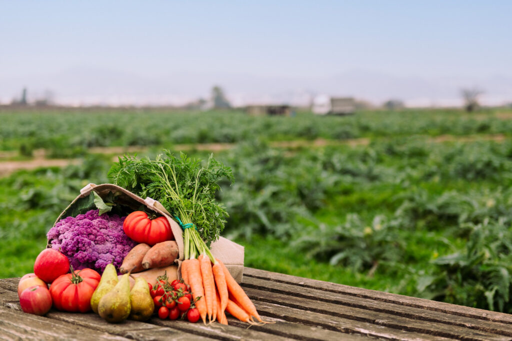 Sute de mii de agricultori ar putea rămâne fără subvenții. Statul lovește din nou în cei mici