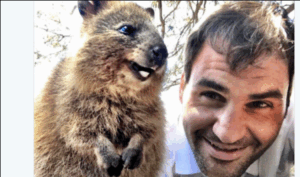 Quokka