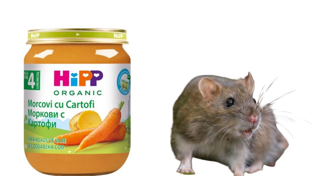 alert-otrav-pentru-obolani-g-sit-n-m-ncare-pentru-bebelu-i-ce-trebuie-s-verifice-p-rin-ii-la-borcane