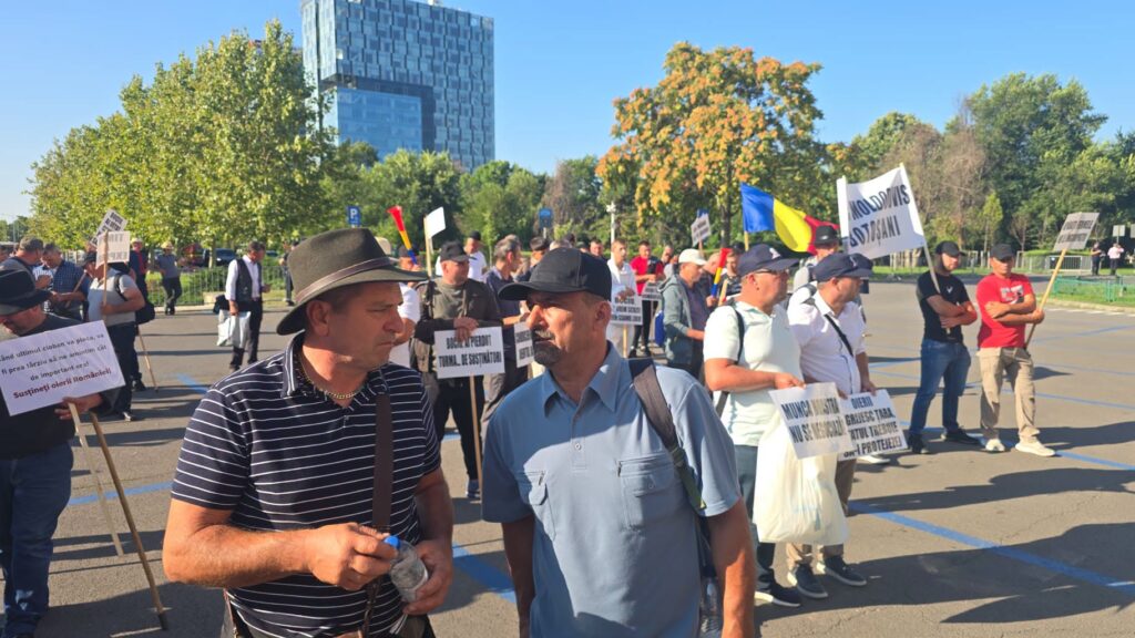 Înainte de marele protest al fermierilor, Comisia Europeană aprobă un ajutor de 52 de milioane de euro pentru crescătorii de bovine din România